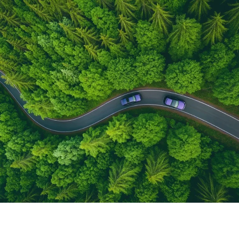 ECOMOBILITY trees