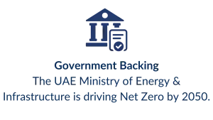 Government Backing