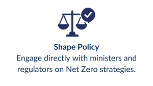 Shape Policy